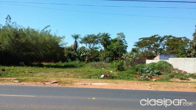 VENDO TERRENO DE 1450 M2 CAMINO LUQUE-LIMPIO — foto 3