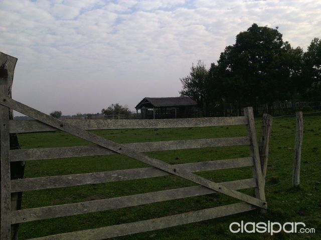 VENDO ESTANCIA EN SAN IGNACIO MISIONES. — foto 2