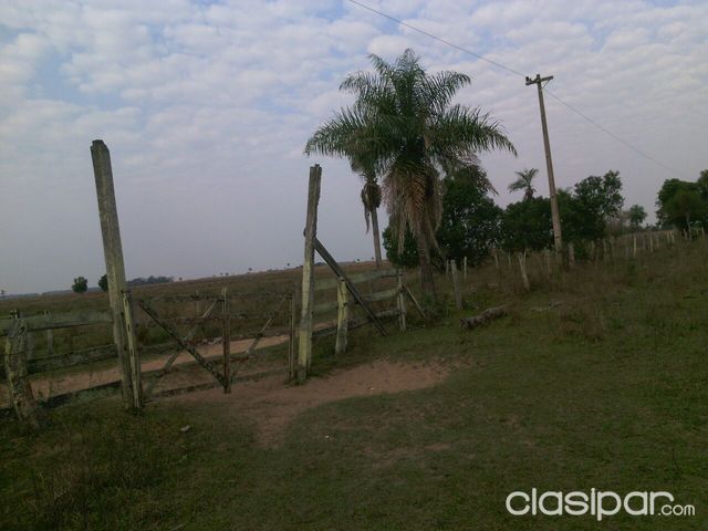 VENDO ESTANCIA EN SAN IGNACIO MISIONES. — foto 3