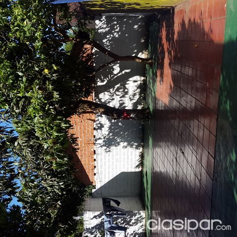 Vendo Hermosa Casa de 2 Plantas en Km 7 Ciudad Nueva — foto 3