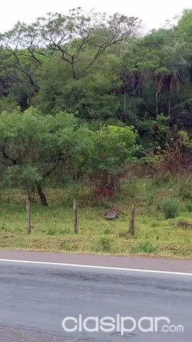 Propietario Vende terreno sobre ruta 2 - Km 47 con 7100 mts2. en la bajada de Caacupé. — foto 3