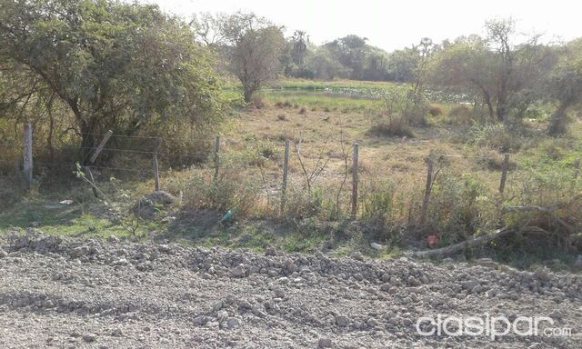 terreno de 38 has EN VILLA OLIVA — foto 3
