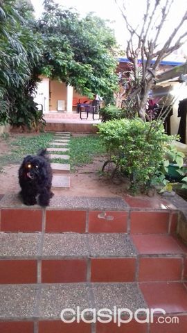 TERRENO 420 mts2 CON CASA EN Bº SAJONIA — foto 2