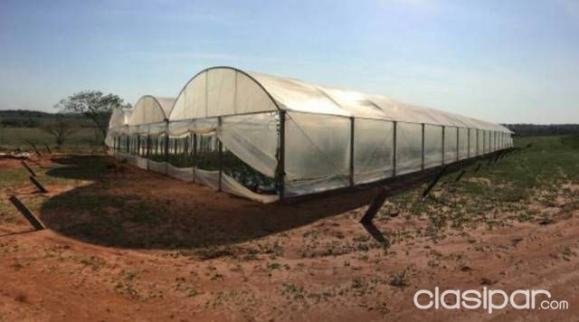 Vendo Granja Formada — foto 2