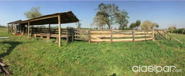 Vendo Granja Formada — foto 3