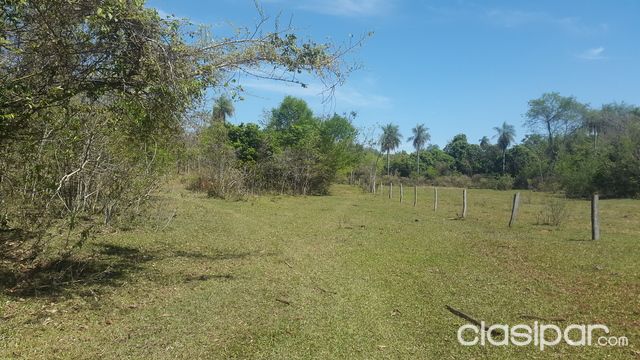 VENDO CAMPO CERRO REAL CAACUPE 70 Ha — foto 2