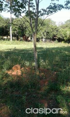 REMATO 2 TERRANOS EN LUQUE A PRECIO DE UNO ZONA PODER JUDICIAL — foto 2