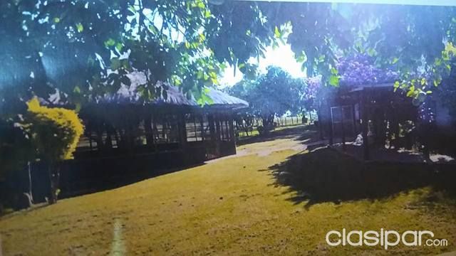 ESTANCIA EN SAN JUAN BAUTISTA Terreno de 1590 hectáreas — foto 2