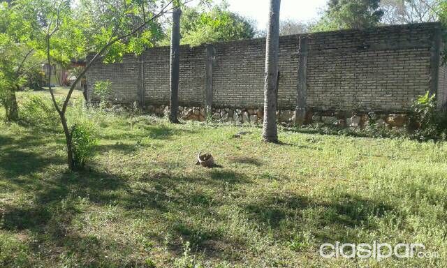 REMATO 2 TERRANOS EN LUQUE ZONA PODER JUDICIAL — foto 3