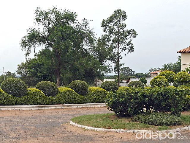 VENDO TERRENO COM EXCELENTE UBICACIÓN EN EL BAIRRO CERRADO DE YTORORO.. — foto 2