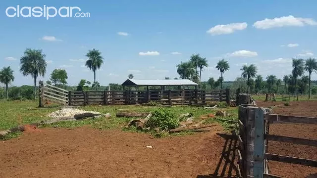 Establecimiento Ganadero Estancia — foto 2