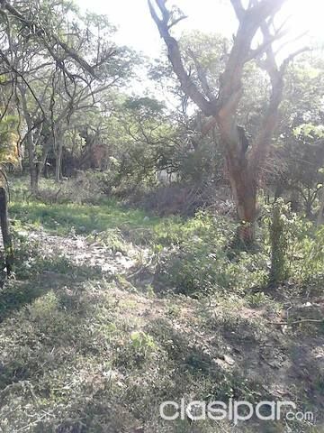 VENDO TERRENO SAN BERNARDINO 3.800 M2 SOBRE AV. CIERVO CUA — foto 2