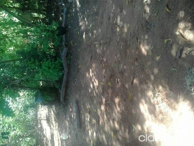 Vendo terreno titulado 35 millones — foto 2