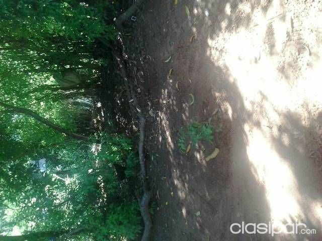 Vendo terreno titulado 35 millones — foto 3