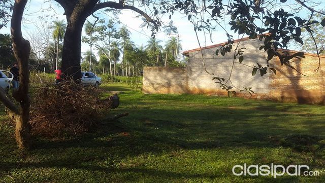 Vendo hermoso terreno recuperado de 12x30 m2, a 100 metros de avenida Rosario (Luque-Limpio) — foto 3