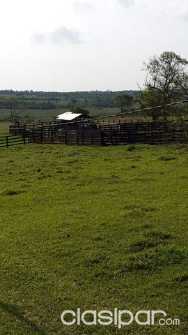 Vendo estancia sobre ruta asfaltada, a 25km del centro de Caaguazu — foto 2