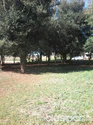 Regalo dos terrenos juntos — foto 3