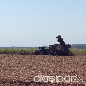 PARAGUARI LA COLMENA VENDO 460 HAS AGRÍCOLAS GANADERAS DE ENGORDE — foto 2