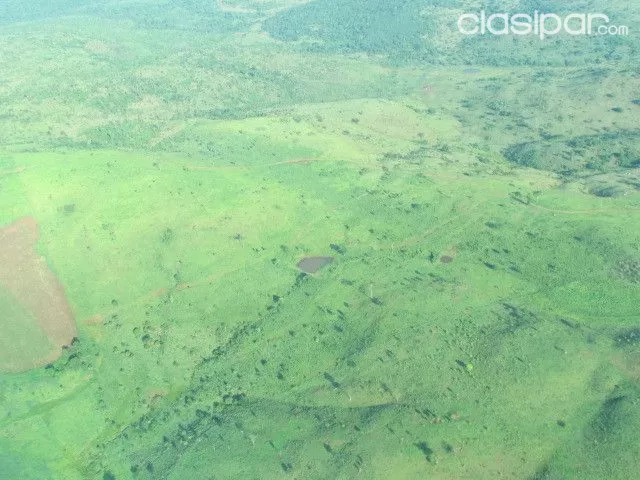AMAMBAY P.J CABALLERO: ESTABLECIMIENTO GANADERO AGRICOLA - 8.528 HAS — foto 2