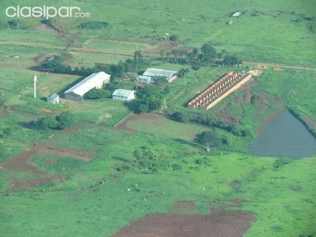 AMAMBAY P.J CABALLERO: ESTABLECIMIENTO GANADERO AGRICOLA - 8.528 HAS — foto 3