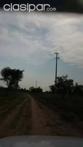 LOMA GRANDE COORDILLERA: VENDO 296 HAS - 23.000.000GSHAS — foto 3