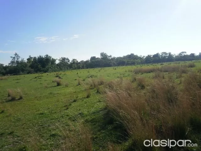 JUAN DE MENA COORDILLERA: VENDO CAMPO C MEJORAS - 500 HAS FULL!! — foto 3