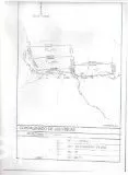 CANINDEYU (S RIO CURUGUATY): IDEAL P CULTIVO - 2.341 HA — foto 2
