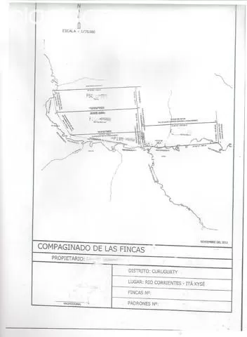 CANINDEYU (S RIO CURUGUATY): IDEAL P CULTIVO - 2.341 HA — foto 3