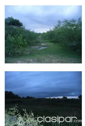 VILLA HAYES - FALCON: 25 HAS PROX A ZONA URBANA - 26.000.000 GSHA — foto 2