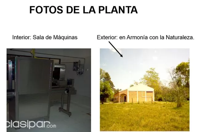 YATAITY GUAIRA: NEGOCIO DEL SIGLO, PLANTA DE AGUA MINERAL, GANADERÍA REFORESTACIÓN. — foto 3