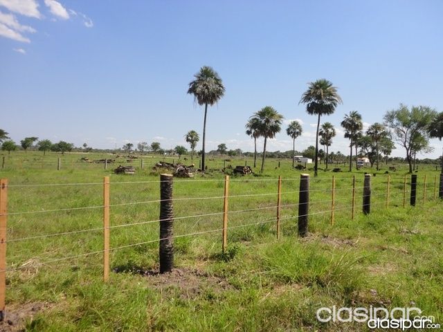 TERRENOS EN CHACO I 80787 Clasipar en Paraguay