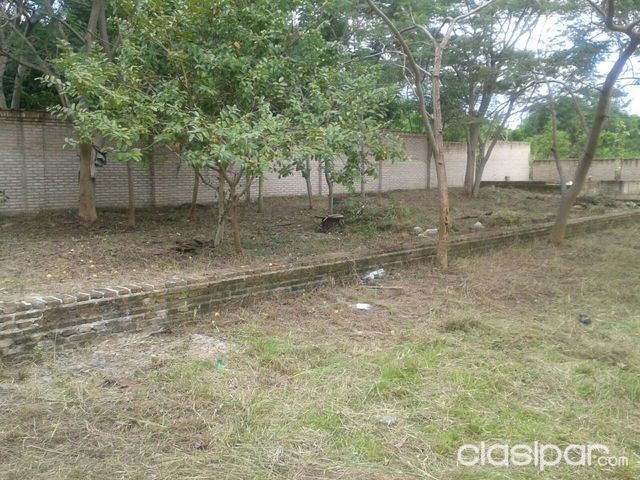 Remato Terreno por viaje — foto 3