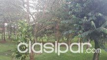VENDO TERRENO EXCELENTE LOCAL PARA INVERTIR EN LUGAR DE EVENTOS O CLUB DE EVENTOS — foto 2