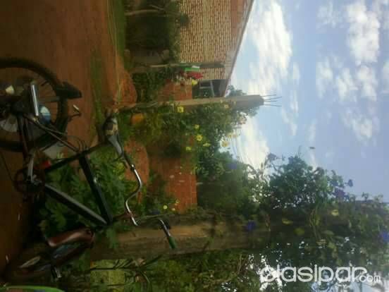 Título al día casa de loza 13 X 25 metros — foto 3