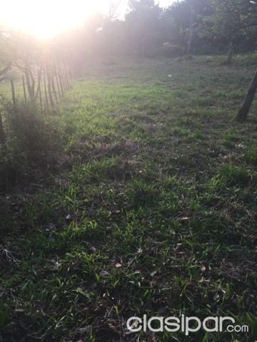 vendo terreno en Luque — foto 2