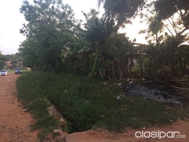 vendo terreno en Luque — foto 3