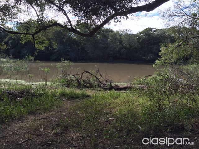 MONTE EN EL CHACO PARAGUAYO — foto 2