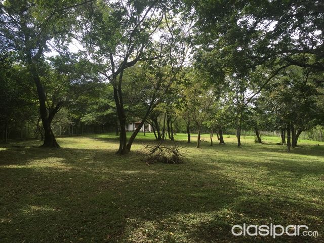 Vendo hermoso terreno en San Bernardino. — foto 3