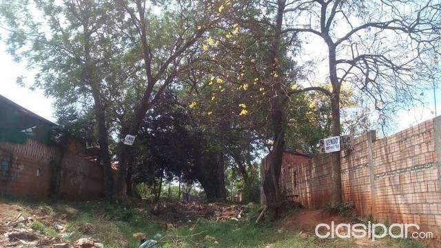 VENDO TERRENO EN LUQUE SOBRE RUTA LUQUE-CAPIATA — foto 3