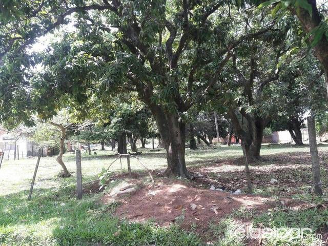 Se Alquila Terreno Adyacente Al Golf Club — foto 2