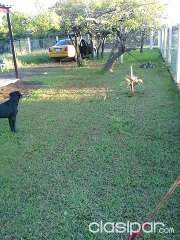 Vendo casa esquina — foto 2