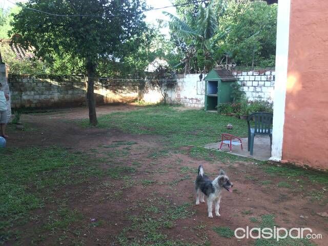 Casa en san Lorenzo — foto 3