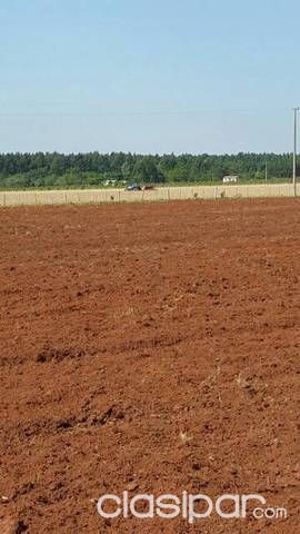 ESTANCIA EN CAAGUAZU 200 HECTAREAS — foto 3
