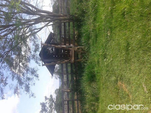 63 has zona Eusebio Ayala — foto 2