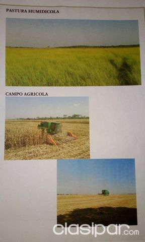 VENDO HERMOSA Y COMPLETA ESTANCIA — foto 3