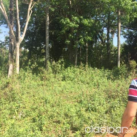 OFERTO TERRENO EN LUQUE — foto 2