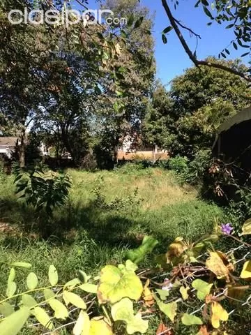VENDO TERRENO DE 20 X 50, UBICACION UNICA!!! SOBRE DEL MAESTRO. — foto 3