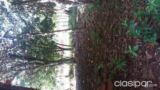 hermoso terreno — foto 2