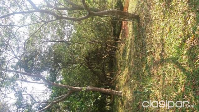 Oferto mi terreno en San vicente camino a ATYRA — foto 2