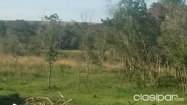 Vendo terreno con arroyo — foto 3